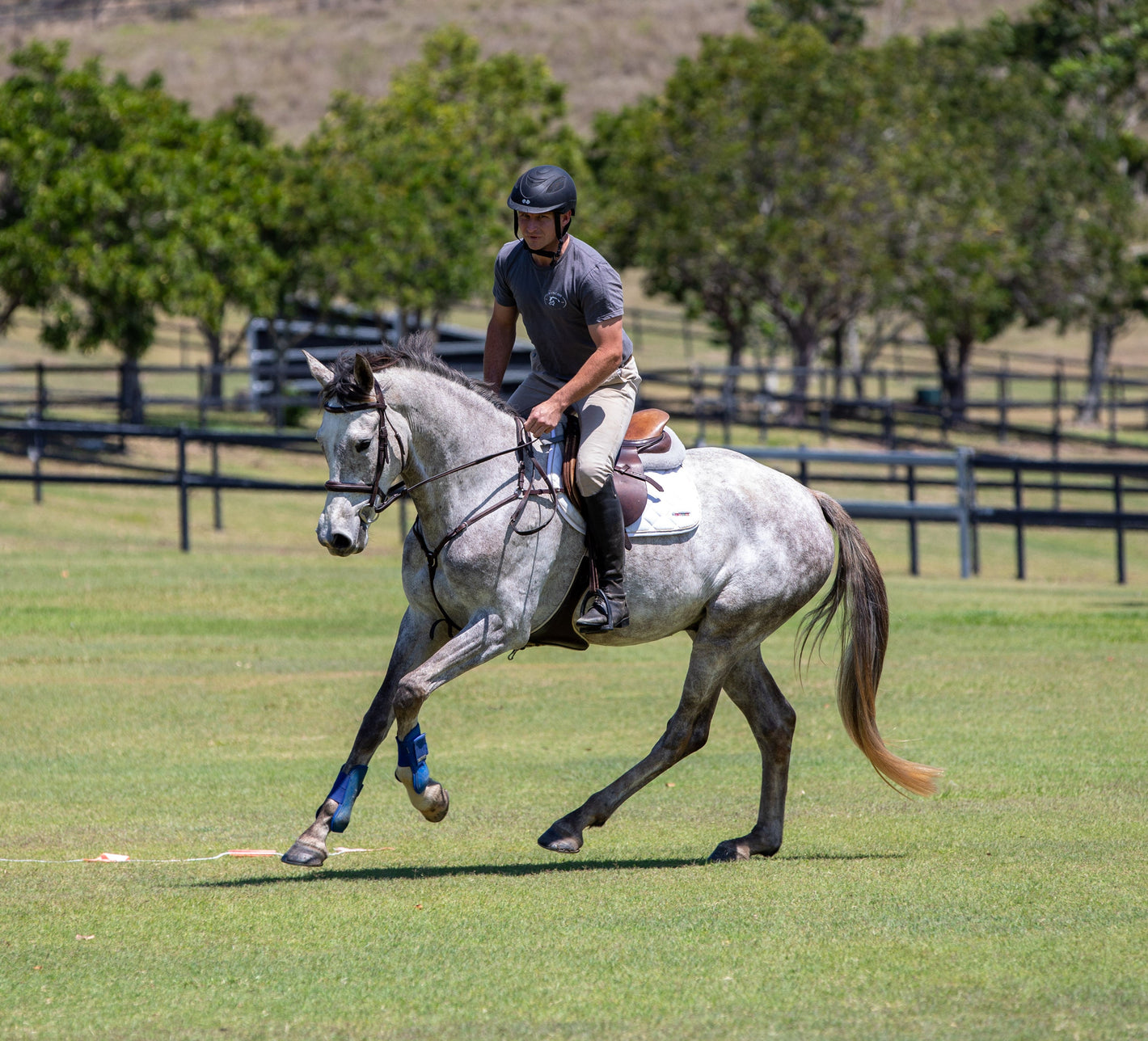 Horse Care
