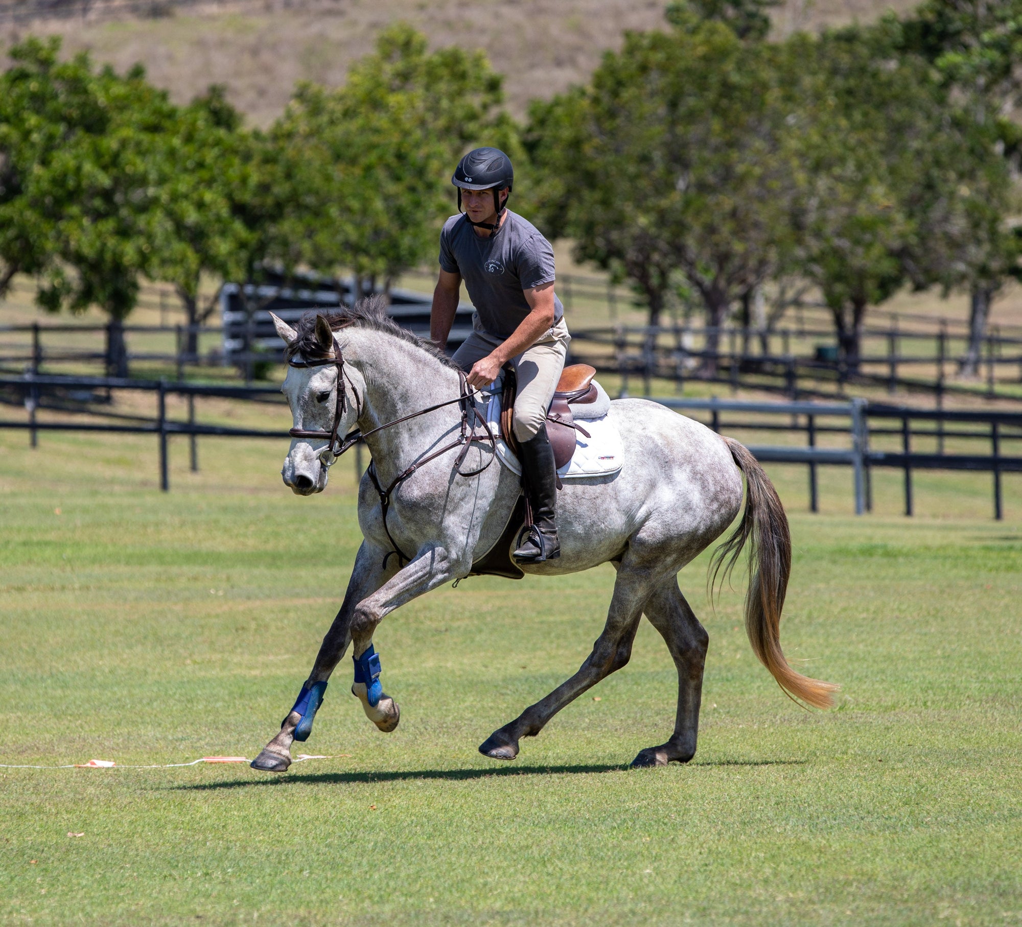 Horse Care