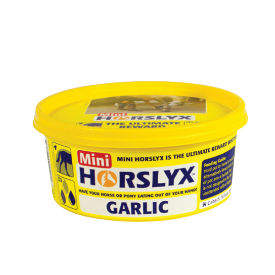HORSLYX Garlic Vit & Mineral Lick Mini