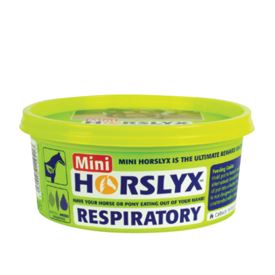 HORSLYX Respiratory Vit & Mineral Lick Mini